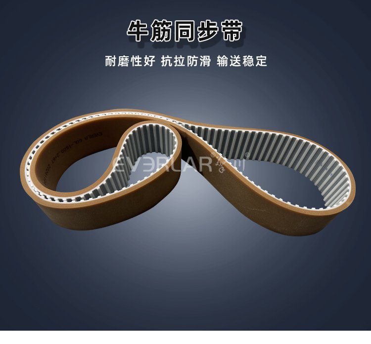 創(chuàng)新傳動(dòng)方案：PU同步帶攜手牛筋，動(dòng)力更強(qiáng)勁